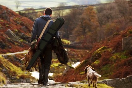 Les conditions d’obtention d’un permis de chasse