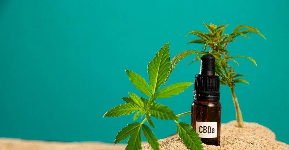 sont les bienfaits du CBD