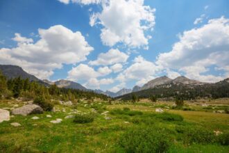 Montagnes verdoyantes sous un ciel bleu en été